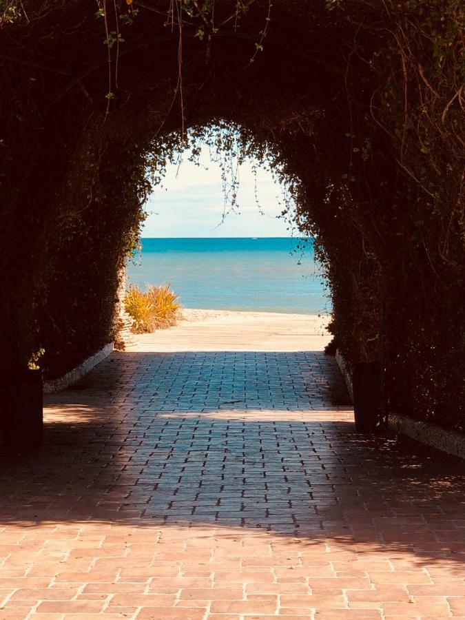 Las Terrazas - Primera Linea De Playa Con Netflix, Disney, Movistar Con Todo El Futbol, Series, Cine Y Prime Video Orpesa Kültér fotó